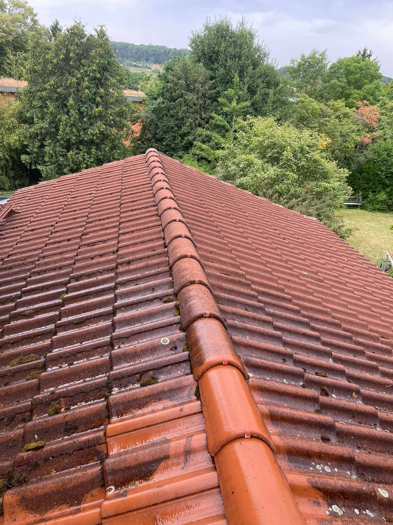 Blick auf das gereinigte Ziegeldach