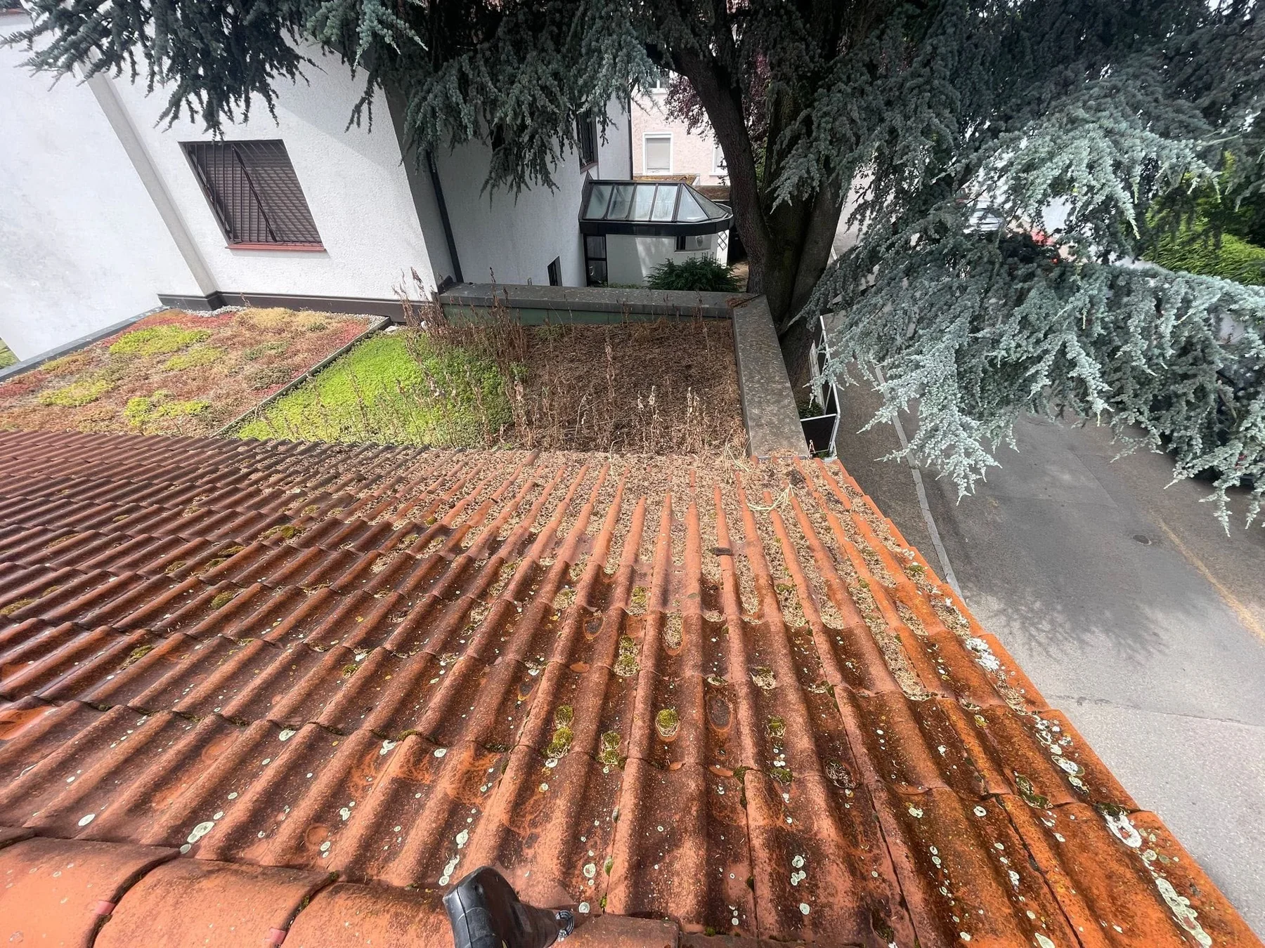 Ziegeldach vor der Reinigung mit sichtbaren Ablagerungen